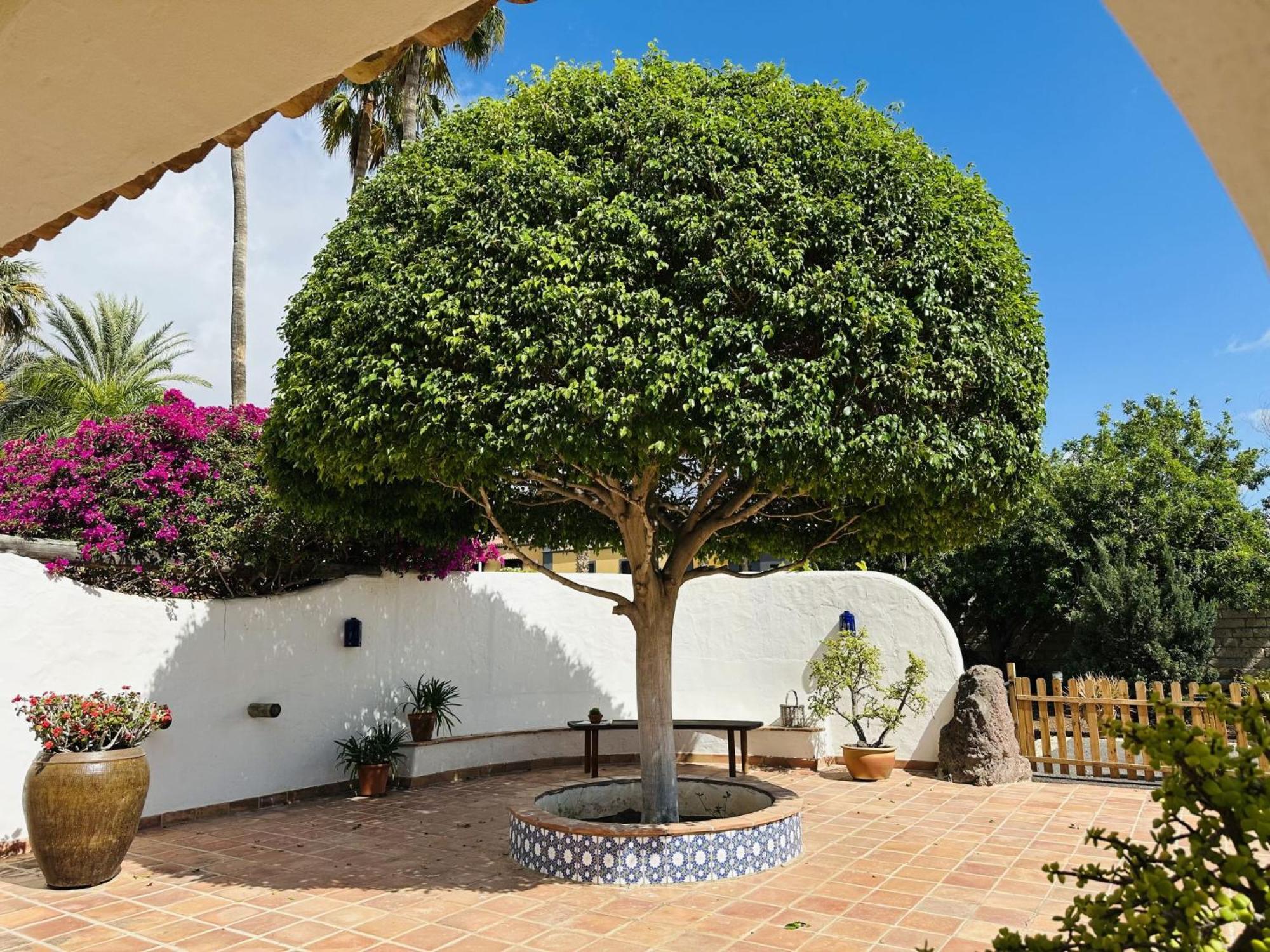 אדחה Villa Finca Ingala By Interhome מראה חיצוני תמונה